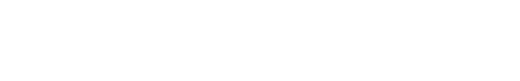 Partner für Berlin